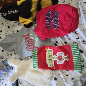 Colorful Small Pet Sweaters Collection